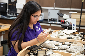 SFA Geology